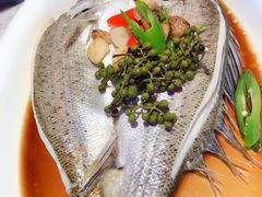 酒香海鲈鱼-绿茶餐厅(乐峰广场店)