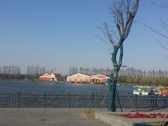 -上海长兴岛郊野公园