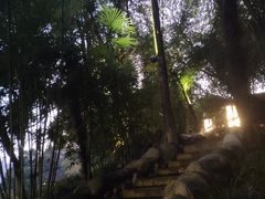 -三江森林温泉度假区