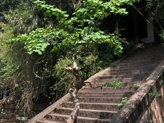 -富乐山