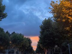 -同济大学(嘉定校区)