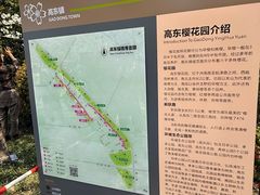 -高东镇樱花园