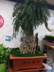 -Hair Glam 格拉姆造型旗舰店