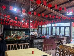 -鲤鱼塘农家山庄