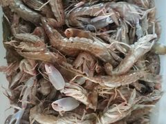 -宾朋海鲜特色美食餐厅·纯手工鲅鱼水饺(兴海路店)