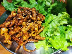 火辣八爪鱼-原始泥炉烤肉(总店)
