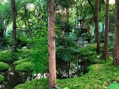 -成都市活水公园
