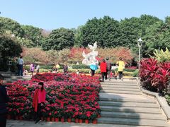 -金鸡山公园