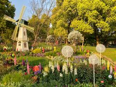 -上海共青森林公园