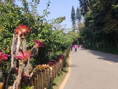 -深圳仙湖植物园