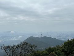 -梧桐山风景名胜区