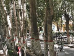 -艾提尕尔清真寺