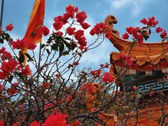 -天后宫民俗文化街