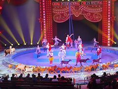 -珠海横琴长隆《卡卡虎奇遇记》