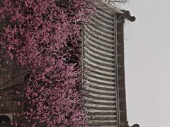 -迎泽公园