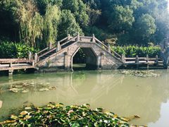 -韩湘水博园