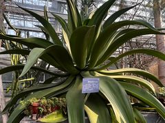 -南山植物园