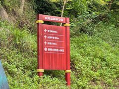 -板樟山森林公园
