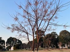 -漕湖湿地公园