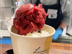 -LUNEURS月乐诗·法式冰淇淋(环贸店)