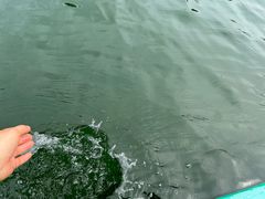 -秋浦河景区