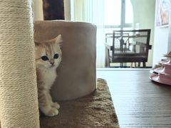 -Me Coffee下午茶艺术空间