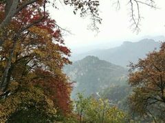 -少华山国家森林公园