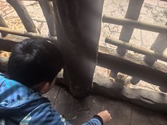 -长鹿旅游休博园