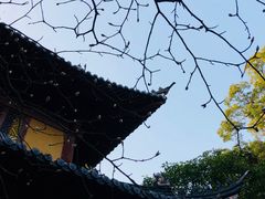 -普陀山风景名胜区-法雨禅寺