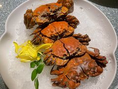 -蟹榭·本帮江浙菜·蟹宴(五角场合生汇商场店)