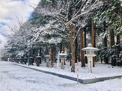 -北海道神宫
