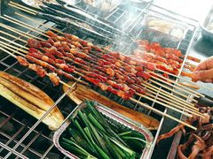 -春花秋色城市公园