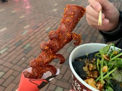 -黑色经典臭豆腐·湖南特产(潇湘文化店)