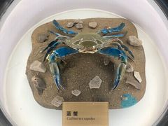 -陕西自然博物馆