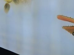 -徽三说·土徽菜·中国徽菜连锁品牌(一中店)