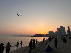 -海云台海滩