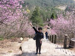-天台山赤城山景区