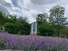-紫云台香草园