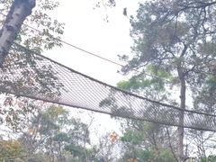 -芦仙山景区-飞越丛林探险乐园