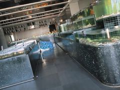 -浩运·海鲜青岛菜·海胆水饺(石老人店)