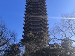 -博雅塔