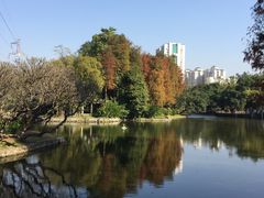 -晓港公园