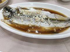酒糟蒸白水鱼-老人和饭店(淮海中路店)