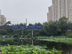 -前关湿地公园