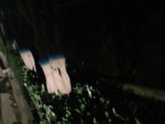 -悦州山庄(奥体路店)