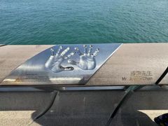 -星光大道