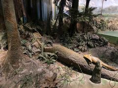 -浙江自然博物院(杭州馆)