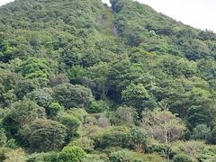 -梧桐山风景名胜区