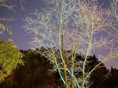 -车溪民俗旅游区