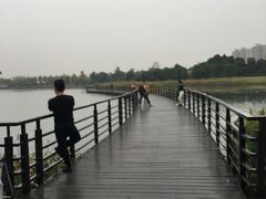 -桐乡凤凰湖
